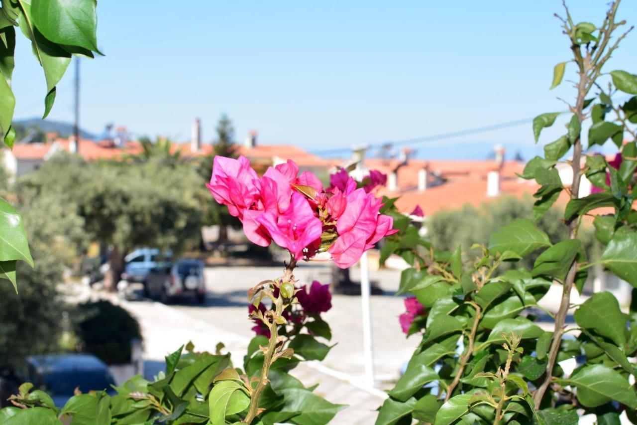 Blue North Luxury Apartment Limenas (Thasos) Exterior foto