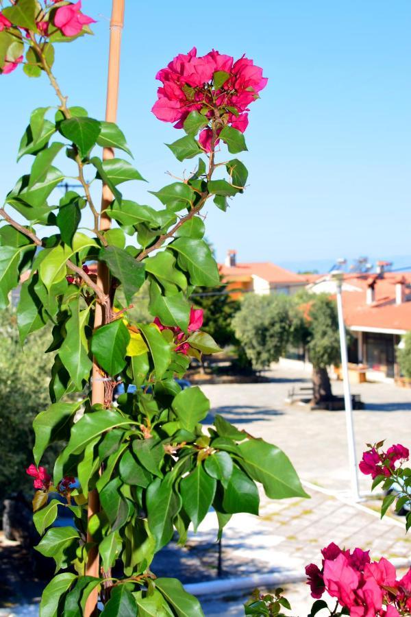Blue North Luxury Apartment Limenas (Thasos) Exterior foto
